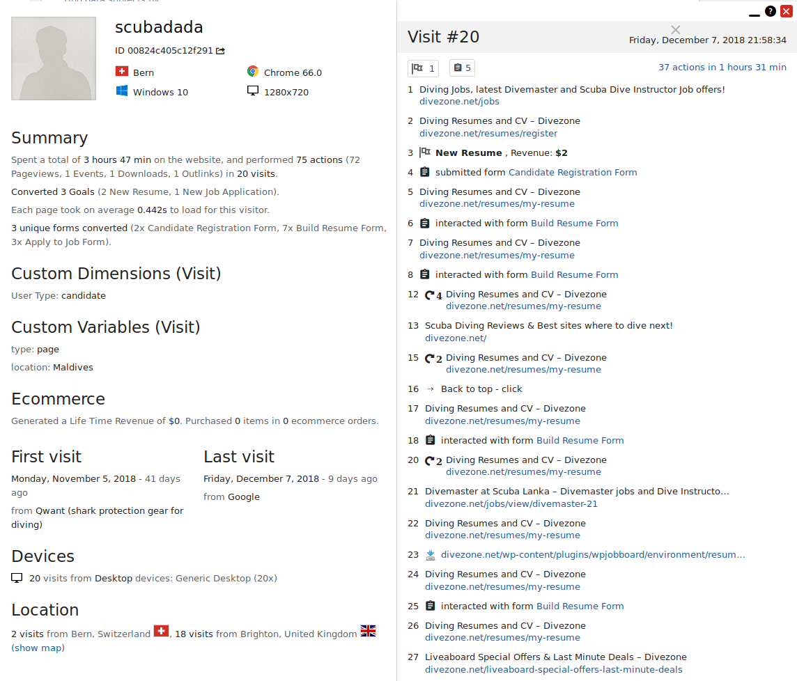 Matomo visitor profile