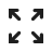 Maximise Icon
