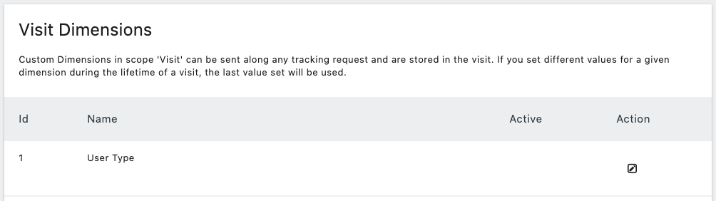 User Type Visit Dimension