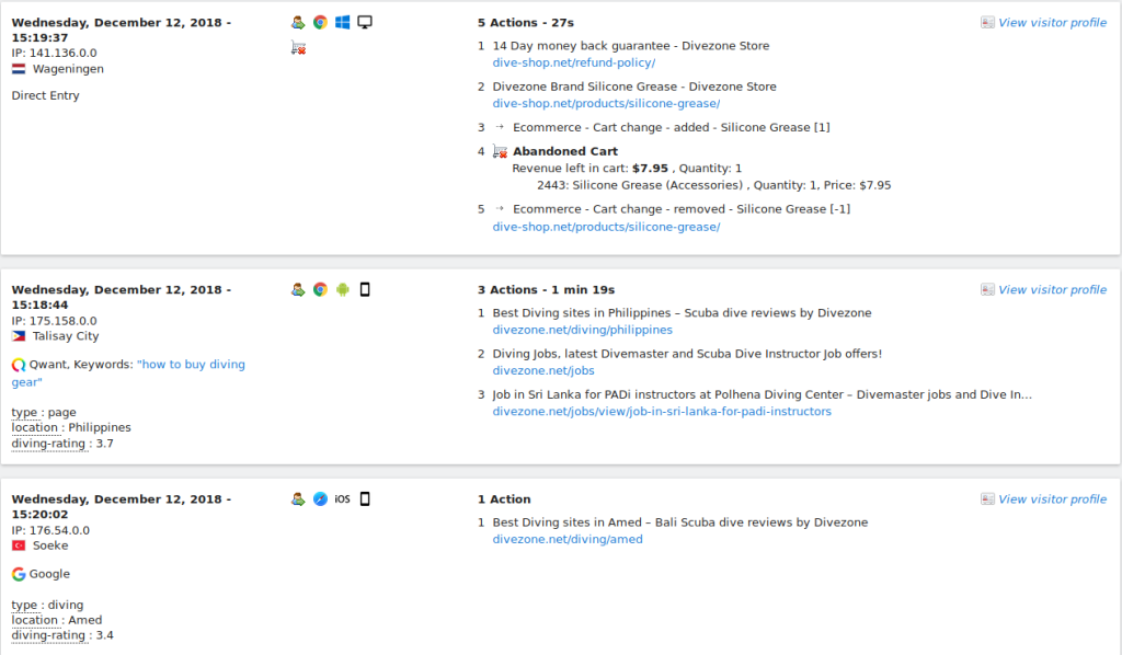 The Visits log report is a unique rundown of your site's visitors