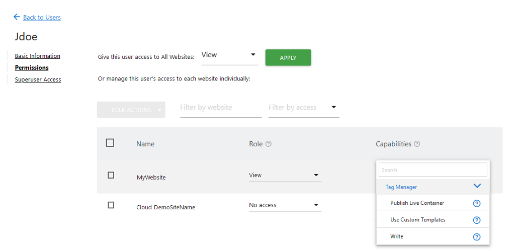 select tag manager user roles