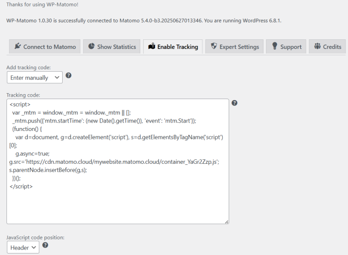 add tag manager code to matomo plugin