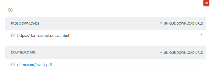 preview custom report for page url actions