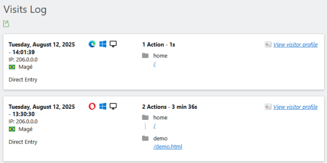 view matomo visits log actions