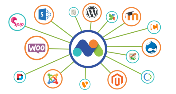 integration capabilities with matomo